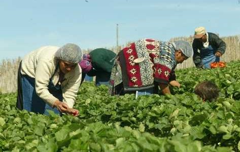 lavoro-meritocrazia_Giuseppe_Ursino_blog