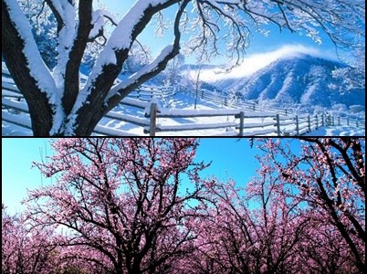 primavera_credere_in_se_stessi_Giuseppe_Ursino_blog